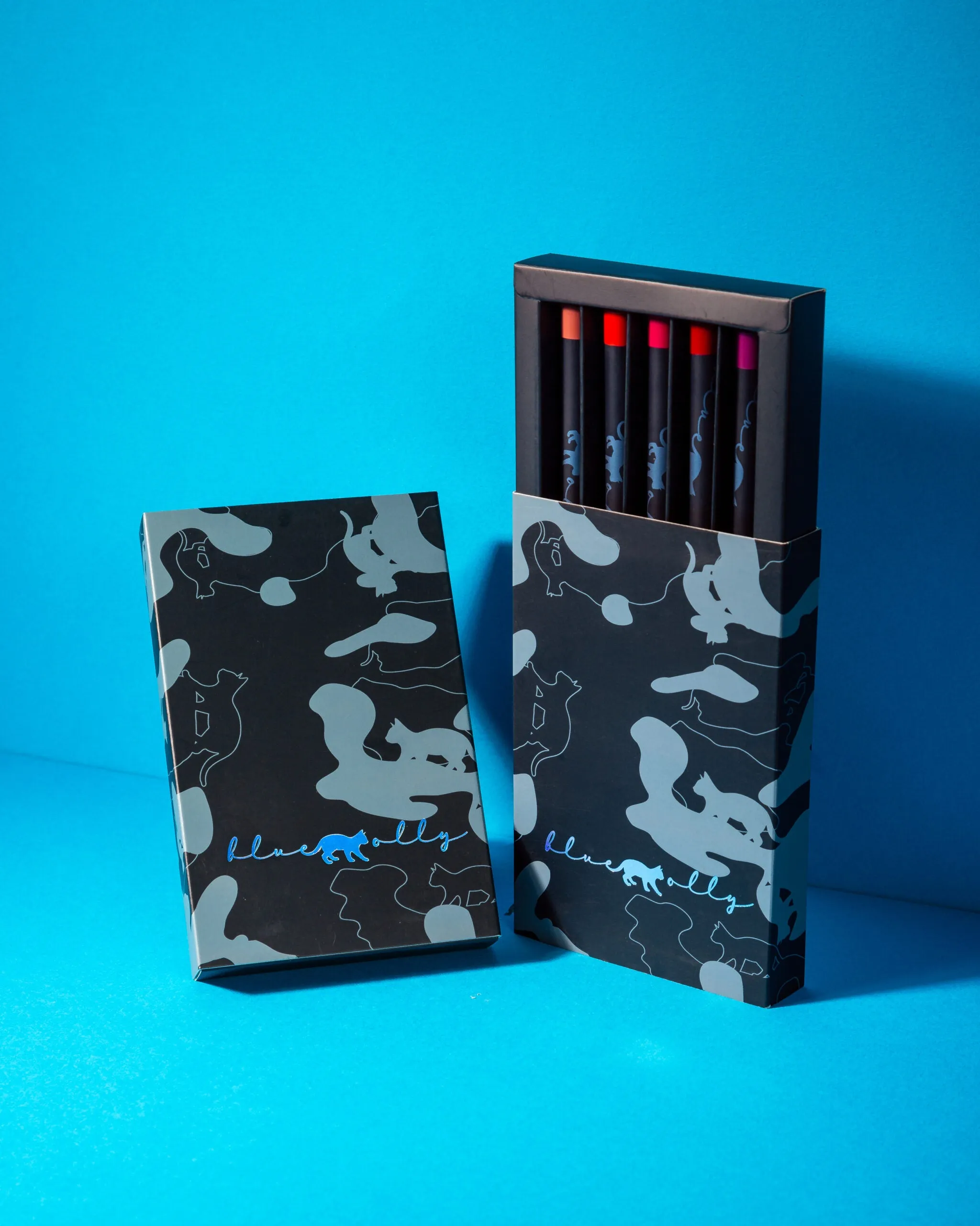 5 LIP CRAYON SET