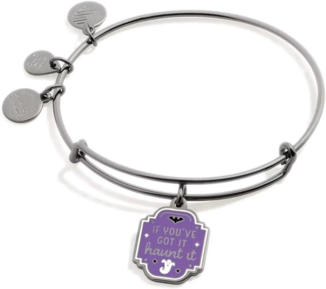 Alex and Ani Connections Expandable Bangle for Women, If You Got It Haunt It Charm, Midnight Silver Finish, 2 to 3.5 in