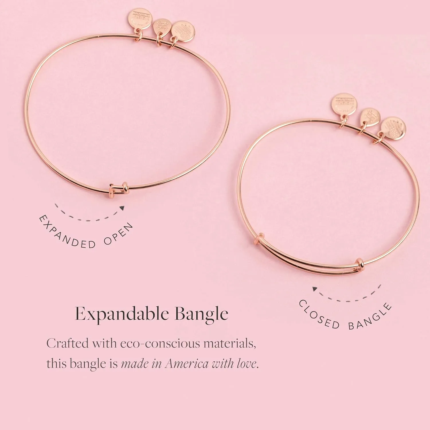 Alex and Ani Connections Expandable Bangle for Women, Im a Moonchild Duo Charm, Shiny Finish, 2 to 3.5 in