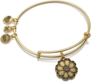 Alex and Ani Path of Symbols Expandable Bangle for Women
