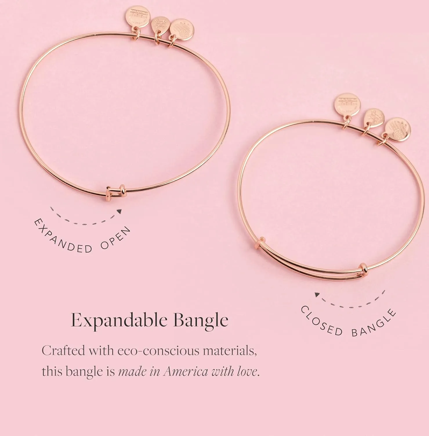 Alex and Ani Path of Symbols Expandable Bangle for Women