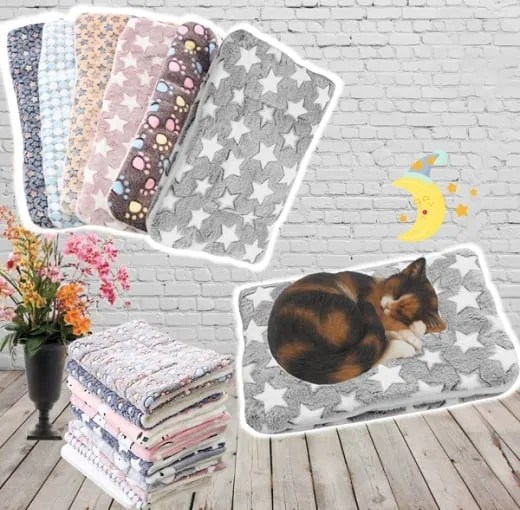 Clearance Sale 49% OFFCozy Calming Cat Blanket