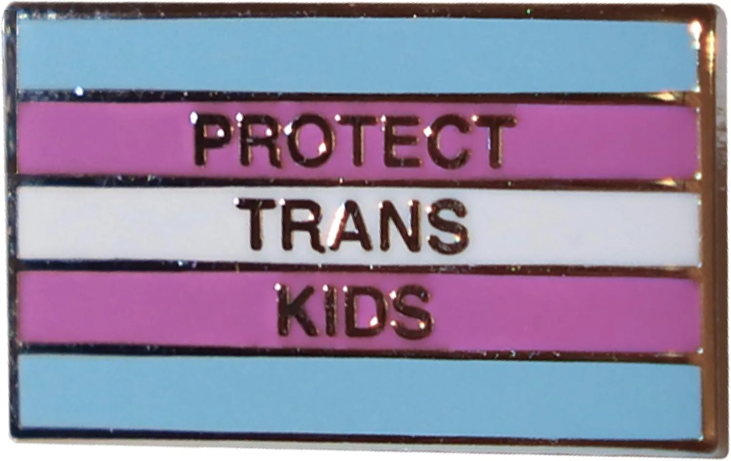 Drumpf.WTF Protect Trans Kids Anti-Trump, Pro-Equality Transgender Pride Flag Pin